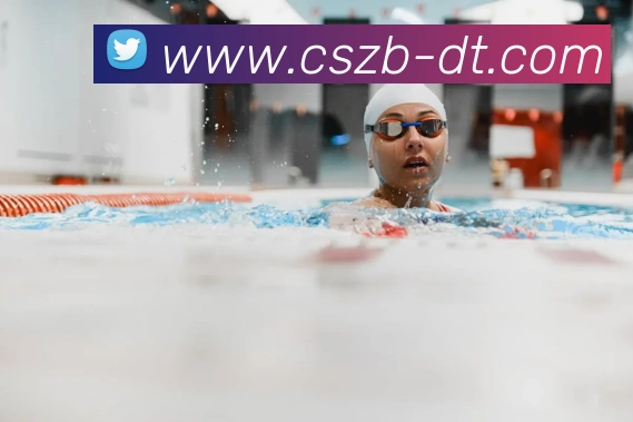 彩神争霸平台生态图